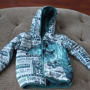 Jurassic Park Graphic Hoodie